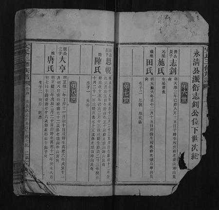湖南安氏族谱-安氏三修族谱.pdf电子版插图2
