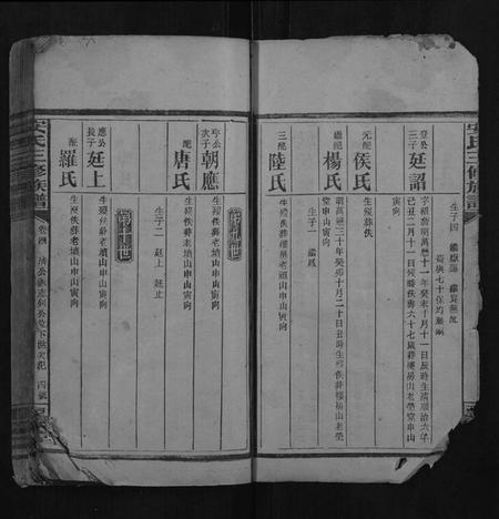 湖南安氏族谱-安氏三修族谱.pdf电子版插图4