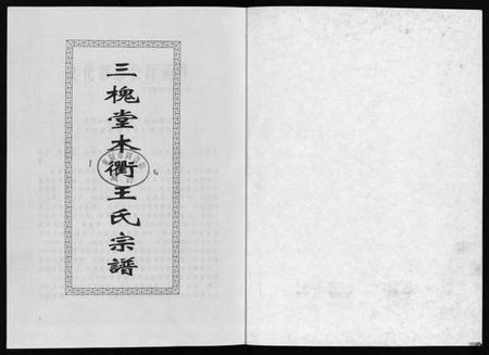 浙江王氏族谱-三槐堂木衢王氏宗谱 [4卷].pdf电子版插图1