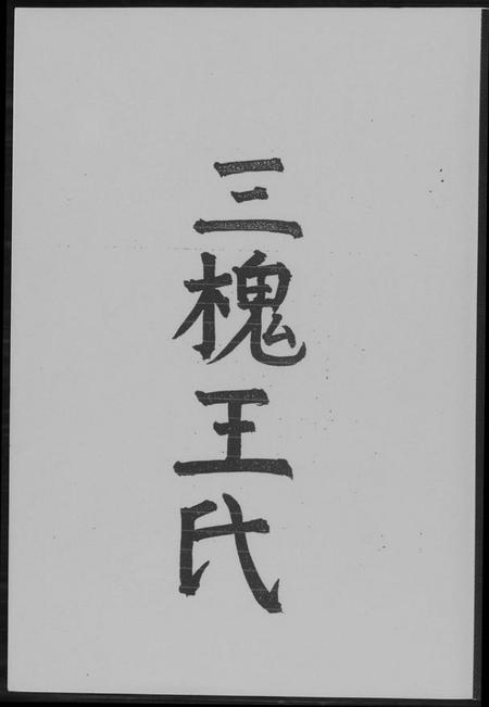 浙江王氏族谱-三槐王氏.pdf电子版插图