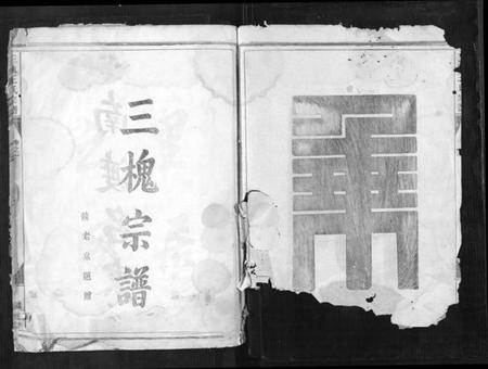 浙江王氏族谱-三槐王氏宗谱[4卷].pdf电子版插图2