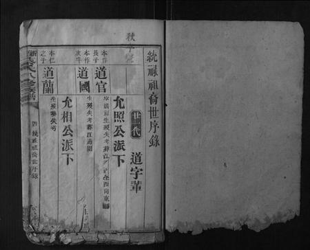 湖南蔡氏族谱-新城蔡氏八修族谱.pdf电子版插图1