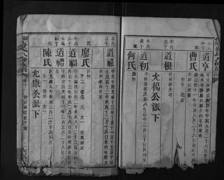 湖南蔡氏族谱-新城蔡氏八修族谱.pdf电子版插图2