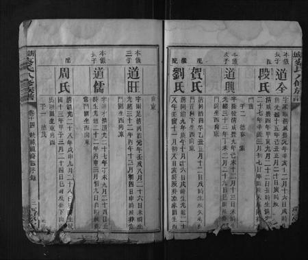 湖南蔡氏族谱-新城蔡氏八修族谱.pdf电子版插图3