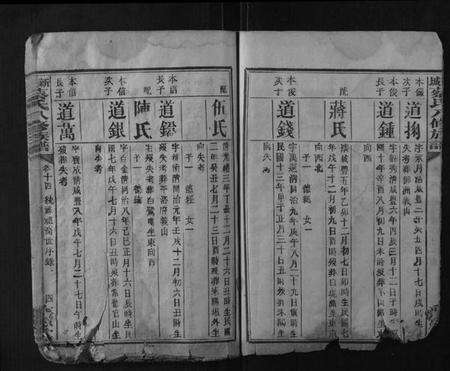 湖南蔡氏族谱-新城蔡氏八修族谱.pdf电子版插图4