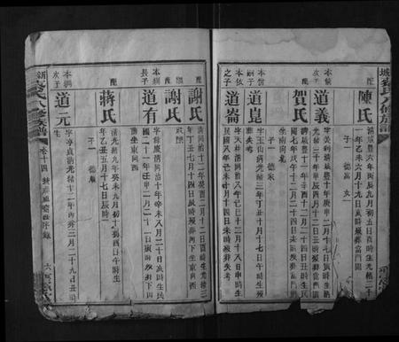 湖南蔡氏族谱-新城蔡氏八修族谱.pdf电子版插图5