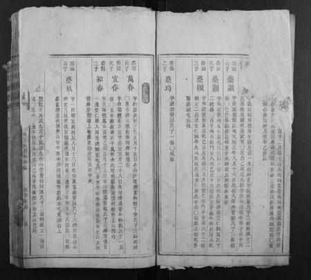 湖南蔡氏族谱-蔡氏族谱.pdf电子版插图3 湖南蔡氏族谱-蔡氏族谱.pdf电子版插图3