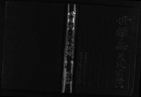 浙江夏氏族谱-世雅志夏氏宗谱 [不分卷].pdf电子版