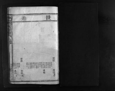 浙江刘氏族谱-中山刘氏宗谱.pdf电子版插图1
