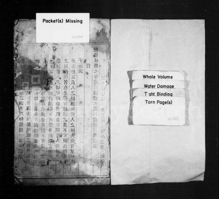 浙江王氏族谱-丹址王氏宗谱 [残卷].pdf电子版插图1