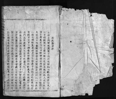 浙江应氏族谱-丹灶里应氏宗谱 [不分卷].pdf电子版插图1