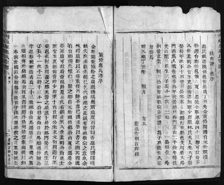 浙江应氏族谱-丹灶里应氏宗谱 [不分卷].pdf电子版插图4