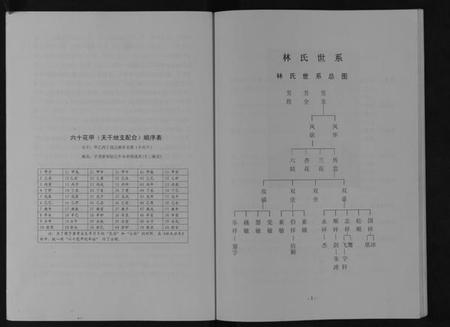浙江林氏族谱-九牧林氏家乘[不分卷].pdf电子版插图4