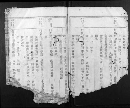 浙江施氏族谱-五云甘罗施氏宗谱.pdf电子版插图1