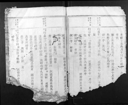 浙江施氏族谱-五云甘罗施氏宗谱.pdf电子版插图2