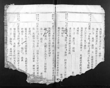 浙江施氏族谱-五云甘罗施氏宗谱.pdf电子版插图4