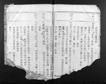 浙江施氏族谱-五云甘罗施氏宗谱.pdf电子版插图5