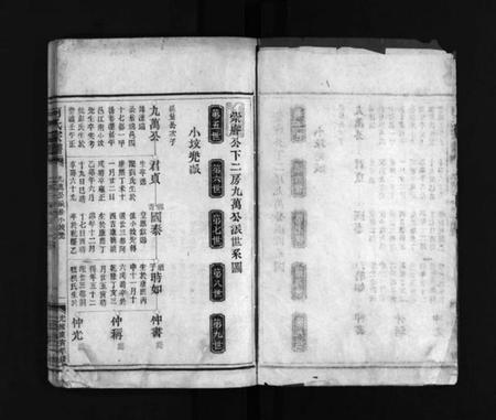 浙江何氏族谱-何氏宗谱 [不分卷].pdf电子版插图1