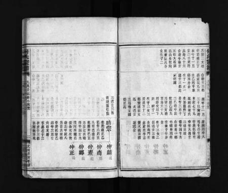 浙江何氏族谱-何氏宗谱 [不分卷].pdf电子版插图2