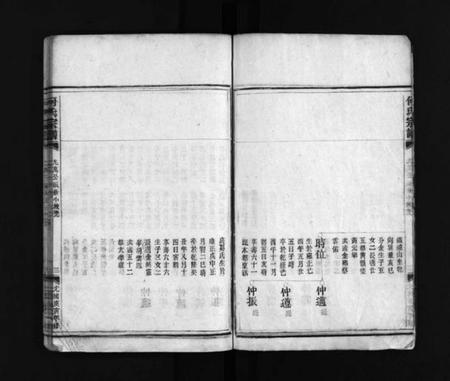 浙江何氏族谱-何氏宗谱 [不分卷].pdf电子版插图3