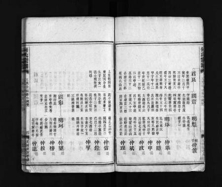 浙江何氏族谱-何氏宗谱 [不分卷].pdf电子版插图4