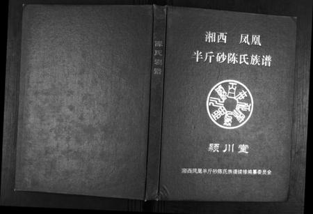 湖南陈氏族谱-半斤砂陈氏族谱.pdf电子版插图 湖南陈氏族谱-半斤砂陈氏族谱.pdf电子版插图
