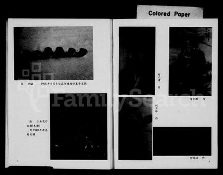 浙江何氏族谱-何麻车村志[何氏].pdf电子版插图3