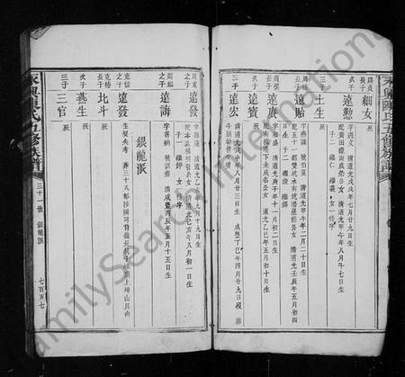 湖南陈氏族谱-永兴陈氏五修族谱 [残卷].pdf电子版插图3