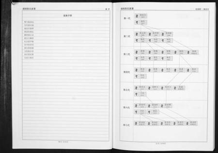 湖南陈氏族谱-湖南陈氏家谱[不分卷].pdf电子版插图4