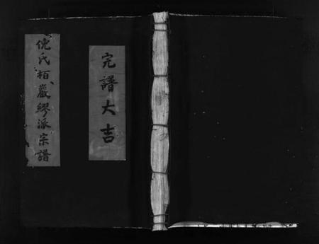 浙江多姓氏族谱-倪氏栢岩缪派宗谱 [不分卷].pdf电子版插图