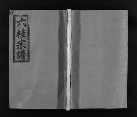 浙江多姓氏族谱-六桂堂联环宗谱 [不分卷].pdf电子版插图