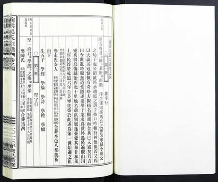 浙江吴氏族谱-前洪吴氏宗谱.pdf电子版插图2 浙江吴氏族谱-前洪吴氏宗谱.pdf电子版插图2