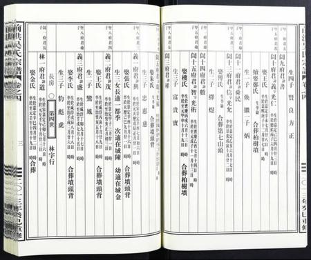 浙江吴氏族谱-前洪吴氏宗谱.pdf电子版插图4 浙江吴氏族谱-前洪吴氏宗谱.pdf电子版插图4