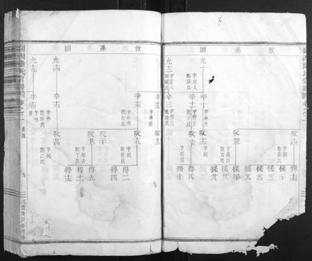 浙江陆氏族谱-剡西陆氏宗谱.pdf电子版插图5 浙江陆氏族谱-剡西陆氏宗谱.pdf电子版插图5