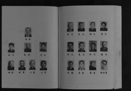 江苏常氏族谱-常氏宗谱[不分卷].pdf电子版插图3