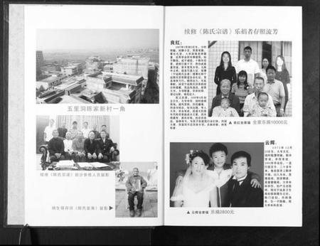 湖南陈氏族谱-陈氏宗谱.pdf电子版插图2