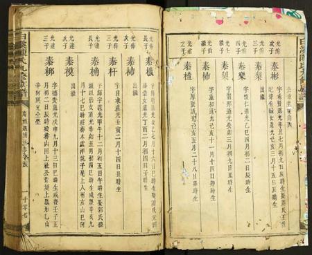 中国陈氏族谱-白溪陈氏九修族谱.pdf电子版插图2 中国陈氏族谱-白溪陈氏九修族谱.pdf电子版插图2