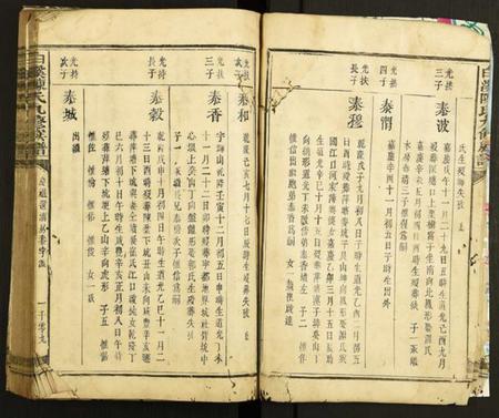 中国陈氏族谱-白溪陈氏九修族谱.pdf电子版插图4 中国陈氏族谱-白溪陈氏九修族谱.pdf电子版插图4