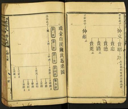 中国陈氏族谱-白溪陈氏十一修族谱.pdf电子版插图4