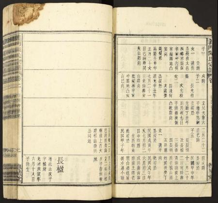 中国陈氏族谱-义门陈氏宗谱.pdf电子版插图2