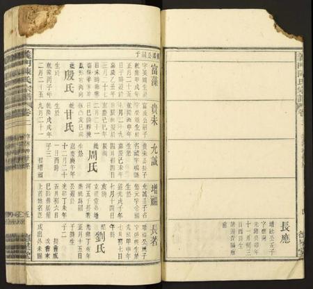中国陈氏族谱-义门陈氏宗谱.pdf电子版插图5