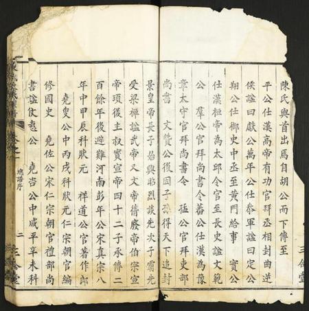 中国陈氏族谱-陈氏大成宗谱.pdf电子版插图2