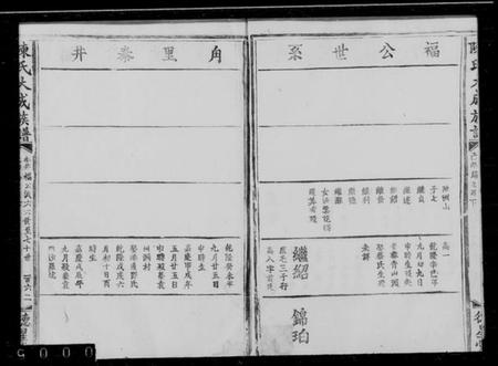中国陈氏族谱-陈氏大成族谱.pdf电子版插图