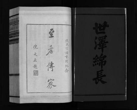 浙江倪氏族谱-千乘郡巨渡倪氏宗谱 [10卷,及卷首].pdf电子版插图2
