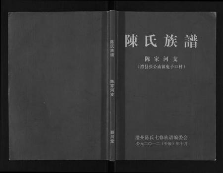 湖南陈氏族谱-陈氏族谱.pdf电子版插图