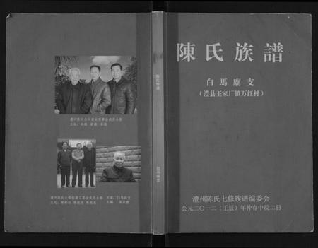 湖南陈氏族谱-陈氏族谱.pdf电子版插图