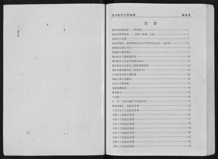 湖南陈氏族谱-陈氏族谱.pdf电子版插图1
