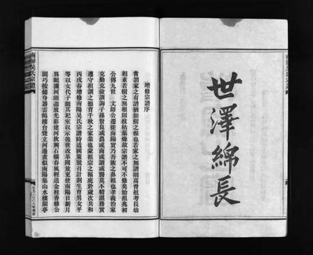 浙江吴氏族谱-南屏吴氏宗谱 [残卷].pdf电子版插图2