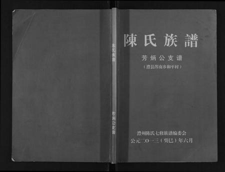 湖南陈氏族谱-陈氏族谱.pdf电子版插图
