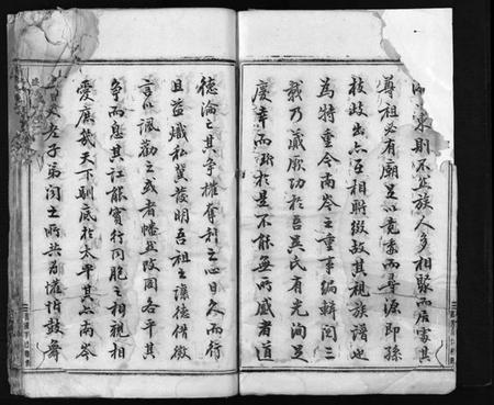 浙江吴氏族谱-南岑吴氏宗谱 [40卷,及卷末].pdf电子版插图4